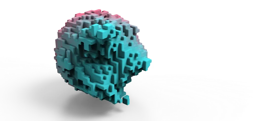 Hard Surface Soft Flesh - view 1