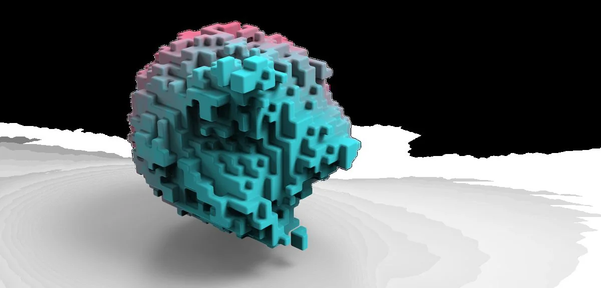 Hard Surface Soft Flesh