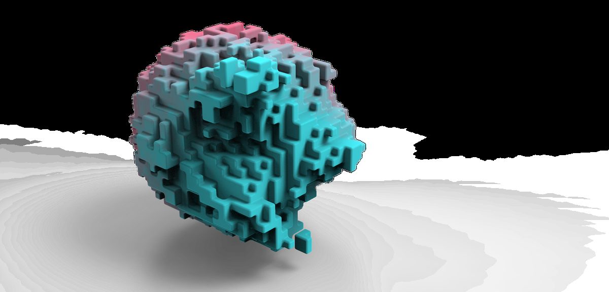 Hard Surface Soft Flesh