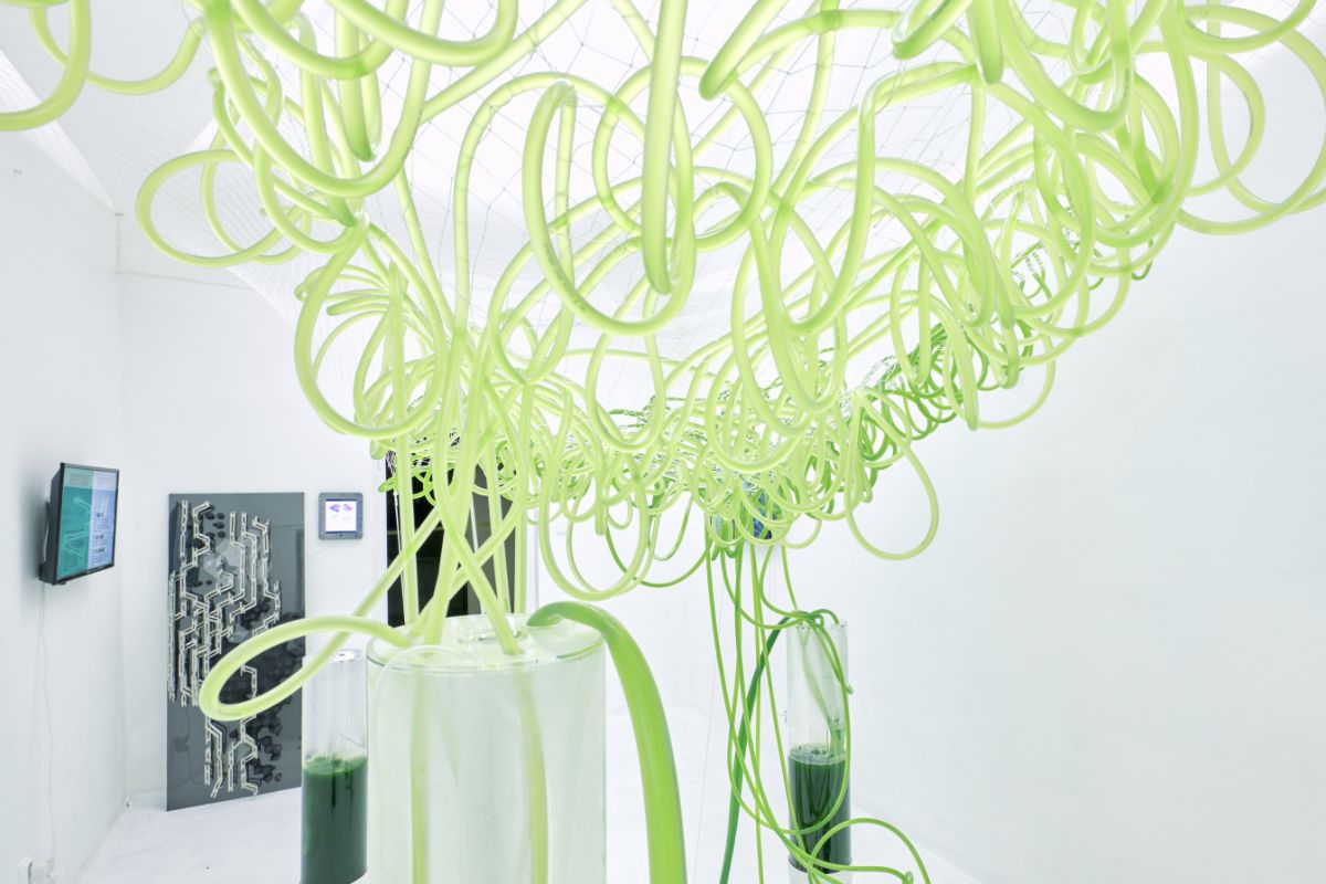 Exhibition view with green tubular installation, wall-mounted multi-material aggregation model, and display screens