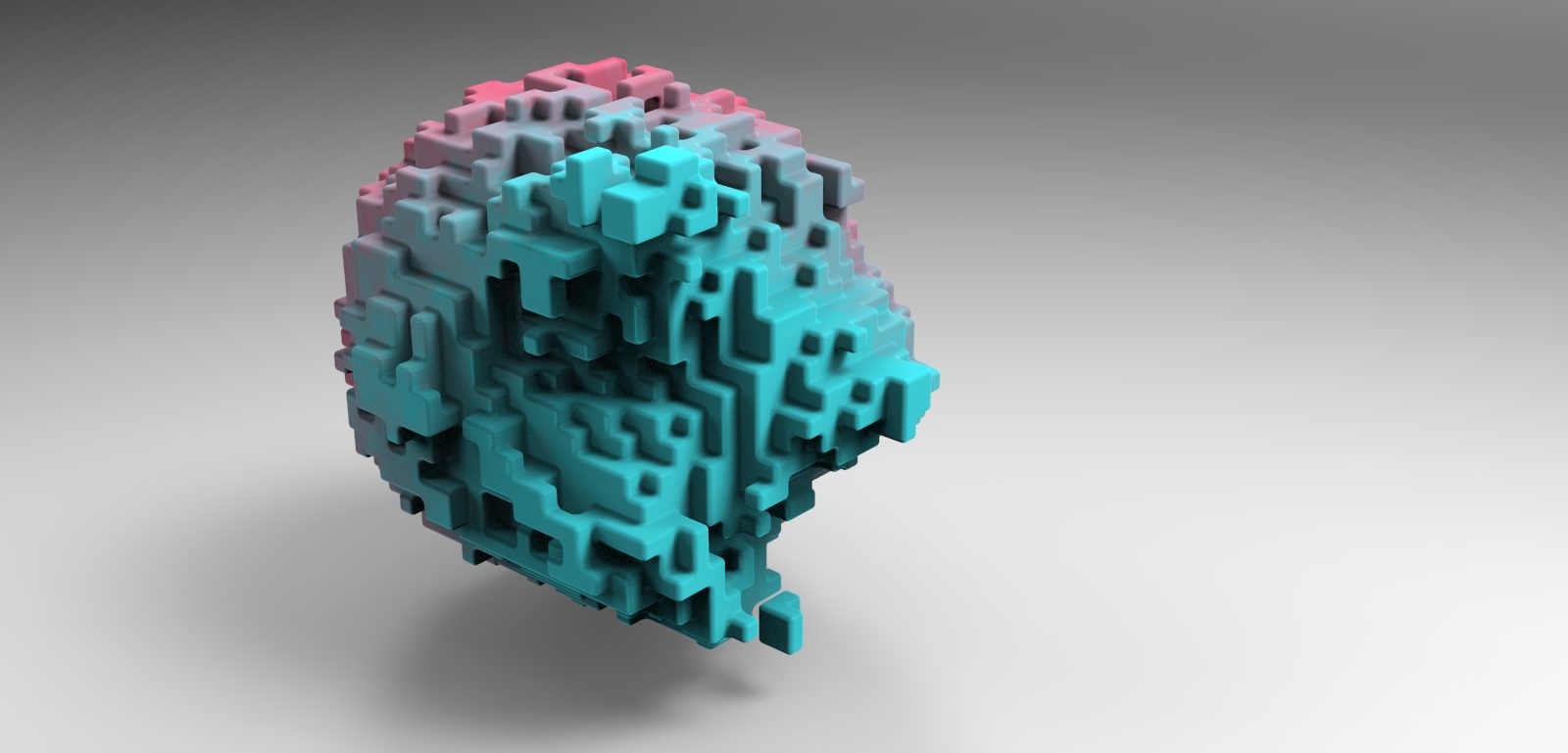 Hard Surface Soft Flesh - view 1